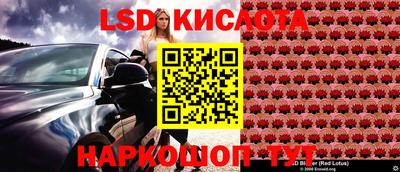 jwh Свободный