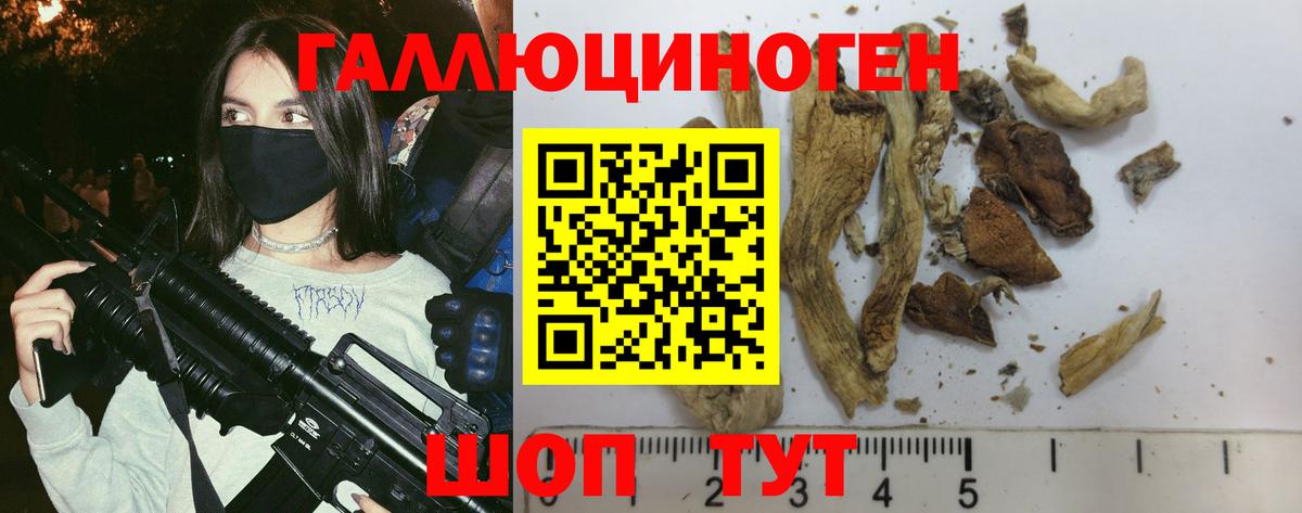 Галлюциногенные грибы Psilocybe  Стрежевой  Псилоцибиновые грибы Cubensis 